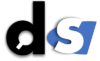 Datashapes abbreviated DS logo